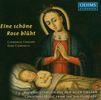 Clemencic Consort - Eine schöne Rose blüht, CD
