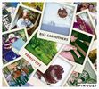 Bill Carrothers: Family Life, CD