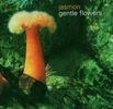 Jasmon: Gentle Flowers, CD