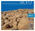 Bleu  (Raab / Angerer / Deixler): Denglbengbeng, CD