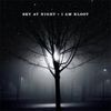 I Am Kloot: Sky At Night +bonus, CD