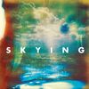 Horrors: Skying, CD