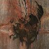 Avey Tare's Slasher Flicks: Enter The Slasher House, CD