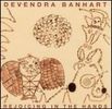 Devendra Banhart: Rejoicing In The Hands, CD