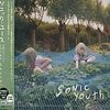 Sonic Youth: Murray Street + 1, CD