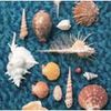 Spitz: Cycle Hit 1991-1997: Complete Single Collection (Regular Ed), CD