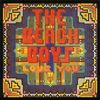 Beach Boys: Love You (Papersleeve) (Reissue), CD