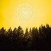 The Decemberists: The King Is Dead, CD