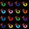 My Morning Jacket: My Moni: Japan Tour Album, CD