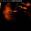 Barry Adamson: The Murky World Of Barr, CD