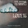 Eric Burdon & Animals: Love Is -Remast-, CD