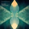 Bonobo: The North Borders, CD