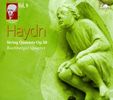 Joseph Haydn (1732-1809): Sämtliche Streichquartette Vol.9, 2 CDs
