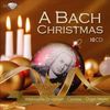 A Bach Christmas, 10 CDs