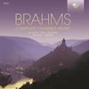 Johannes Brahms (1833-1897): Kammermusik (Gesamt-Aufnahme), 12 CDs