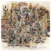 Cass McCombs: Humor Risk (180g), LP