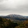 Dirty Projectors & Björk: Mount Wittenberg Orca, CD