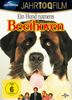 Ein Hund namens Beethoven, DVD