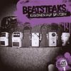 Beatsteaks: Kanonen auf Spatzen - 14 Live Songs, CD