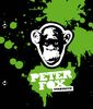 Peter Fox: Peter Fox & Cold Steel: Live aus Berlin (Deluxe Boxset), DVD