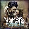 Y'akoto: Babyblues, CD