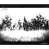 Dodos: No Color, CD