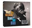 Sonny Boy Williamson: Down And Out Blues, 2 CDs