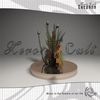 Zero Cult: Ikebana, CD
