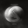 Sigur Rós: Inni: Live 2008 (2 CDs + DVD), 2 CDs