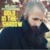 William Fitzsimmons: Gold In The Shadow (LP + CD), LP