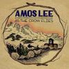 Amos Lee: As The Crow Flies (10