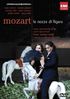 Wolfgang Amadeus Mozart (1756-1791): Die Hochzeit des Figaro, 2 DVDs