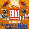 Bild am Sonntag: Die größten Karnevals- und Faschingshits, 2 CDs