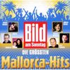 Various Artists: Die größten Mallorca-Hits, 2 CDs