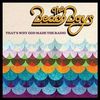 The Beach Boys: That's Why God Made The Radio, LP