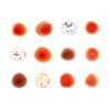 Peter Gabriel: Scratch My Back, CD