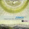 Johann Sebastian Bach (1685-1750): Messen BWV 233-236, 2 CDs