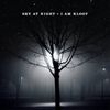 I Am Kloot: Sky At Night, CD