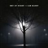 I Am Kloot: Sky At Night, CD