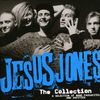 Jesus Jones: The Collection (A Selection Of Band Favourites, 2 CDs
