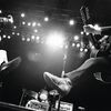 Decemberists: We All Raise Our Voices To The, CD