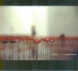 Mary's Flower Superhead: Mary's Flower Superhead, CD