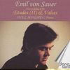 Emil von Sauer (1862-1942): Etudes de Concert Vol.2, CD