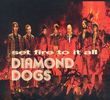 Diamond Dogs: Set Fire To It All, CD