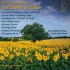Matthew Curtis (geb. 1959): Orchesterwerke Vol.4, CD
