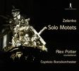 Jan Dismas Zelenka (1679-1745): Solo-Motetten, CD