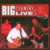 Big Country: Live Hits, CD