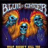 Blue Cheer: What Doesn't Kill You... (180g), 2 LPs