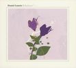 Daniel Lanois: Belladonna, CD