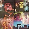 Sly & The Family Stone: Stand! (remastered) (180g), LP